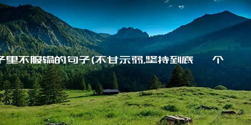 骨子里不服输的句子(不甘示弱，坚持到底 一个)